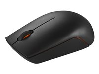 Lenovo 300 Wireless Compact - Souris - 3 boutons - sans fil - 2.4 GHz - récepteur sans fil USB - Pour la vente au détail GX30K79401