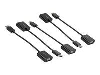 StarTech.com 5-Pack DisplayPort to VGA Adapter, DisplayPort 1.2 HBR2 to VGA Active Adapter, Digital DP to Analog VGA Video Converter Dongle, DisplayPort Male to VGA Female Monitor Adapter - Active DP 1.2 to VGA (DP2VGA3X5) - Adaptateur vidéo - DisplayPort (M) pour HD-15 (VGA) (F) - DisplayPort 1.2 - 10 cm - support 1080p, actif - noir (pack de 5) DP2VGA3X5