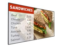 Philips Signage Solutions P-Line 42BDL5055P - Classe de diagonale 42" (41.92" visualisable) écran LCD rétro-éclairé par LED - signalisation numérique - 1080p 1920 x 1080 42BDL5055P/00