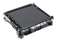 Epson - Courroie de transfert de l'imprimante - pour AcuLaser C2800DN, C2800DTN, C2800N, C3800DN, C3800DTN, C3800N C13S053024