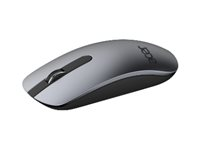 Acer Slim - Souris - optique - sans fil - récepteur sans fil USB - argent - pour Aspire 3; 5; ConceptD 3 Pro; Extensa 15; Nitro 5; Predator Helios 300; Swift 3 NP.MCE11.00D