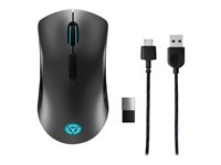 Lenovo Legion M600 Gaming Mouse - Souris - droitiers et gauchers - optique - 8 boutons - sans fil, filaire - Bluetooth, 2.4 GHz, USB 2.0 - récepteur sans fil USB - noir, gris de fer GY50X79385