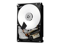 HGST Ultrastar 7K6000 HUS726020ALS210 - Disque dur - 2 To - interne - 3.5" - SAS 12Gb/s - 7200 tours/min - mémoire tampon : 128 Mo 0F22943