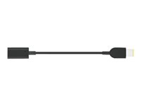 Lenovo USB-C to Slim-tip Cable Adapter - Adaptateur pour prise d'alimentation - 24 pin USB-C femelle pour alimentation mâle - pour ThinkBook 14; 15; ThinkCentre M75t Gen 2; ThinkPad E490; V130-14; V15 G2 ITL; V330-14 4X90U45346