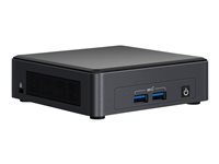 Intel Next Unit of Computing 11 Pro Kit NUC11TNHi30Z - mini PC - Core i3 1115G4 - 0 Go - aucun disque dur BNUC11TNHI30Z00