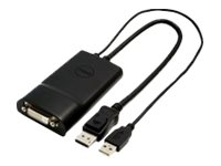 Dell DisplayPort to DVI Dual-Link Adapter - Convertisseur vidéo - DisplayPort - DVI - pour Inspiron 15 7560; Latitude 5285 2-in-1, 5289 2-In-1; OptiPlex 50XX; Precision T1650 DANASBC084