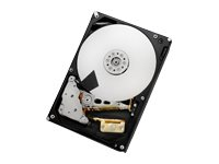 HGST Ultrastar 7K6000 HUS726040AL5214 - Disque dur - 4 To - interne - 3.5" - SAS 12Gb/s - 7200 tours/min - mémoire tampon : 128 Mo 0F22815