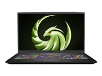 MSI Bravo 17 A4DDR-026XFR - 17.3" - Ryzen 5 4600H - 16 Go RAM - 512 Go SSD 9S7-17FK12-026