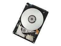 HGST Travelstar Z5K500 HTE545032A7E680 - Disque dur - 320 Go - interne - 2.5" - SATA 6Gb/s - 5400 tours/min - mémoire tampon : 8 Mo 0J39683