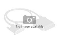 Lenovo ThinkSystem Internal HBA/RAID Adapter Upgrade Cable Kit - Kit de câbles de stockage - pour ThinkSystem SR665 7D2V, 7D2W 4X97A59772
